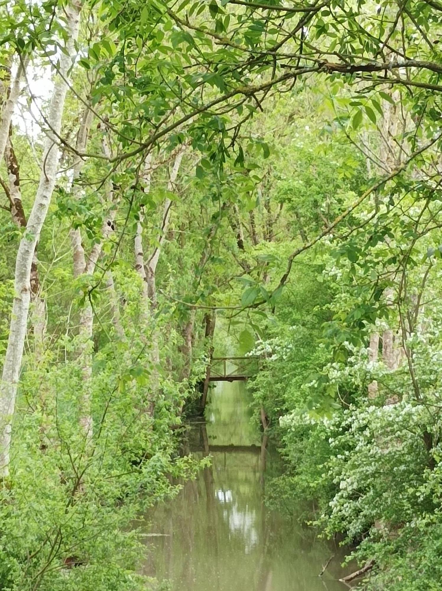 Le Logis De Lange Apt Les Aigrettes Saint-Hilaire-la-Palud المظهر الخارجي الصورة